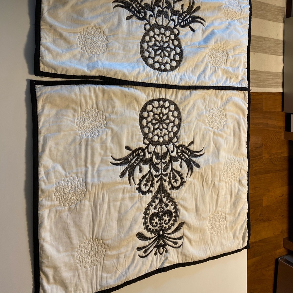 Opal House pair of standard shams embroidered